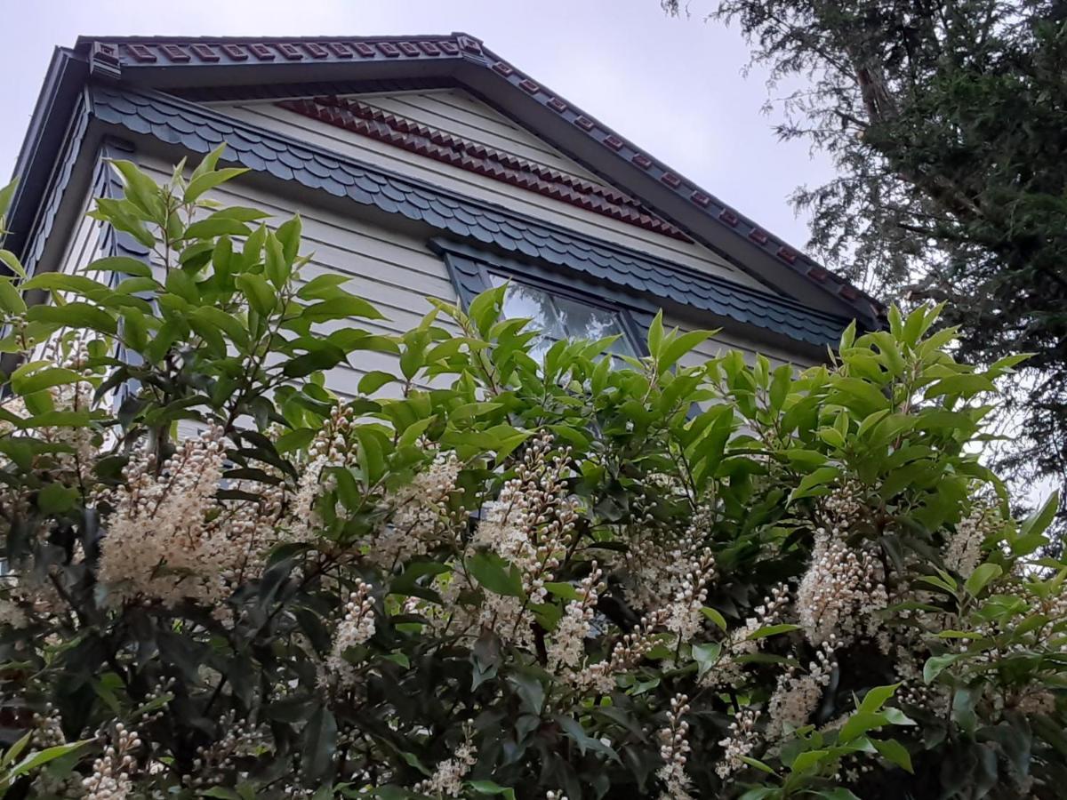 Sea Birds Cottage Victoria Exterior foto